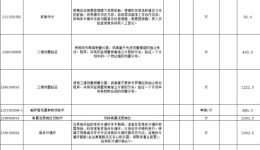 广西公立医疗机构新增医疗服务项目价格公示表