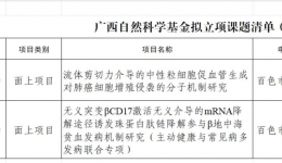 喜报 | 尊龙凯时2项课题获广西自然科学基金科研项目立项